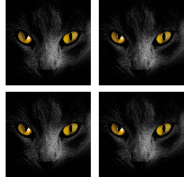 Fekete macska halloween alátét - TenStickers