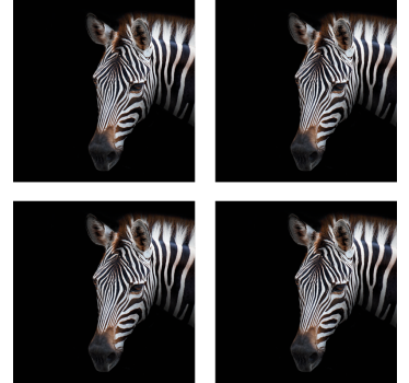 Modern poháralátétek zebra fej illusztrációval - TenStickers