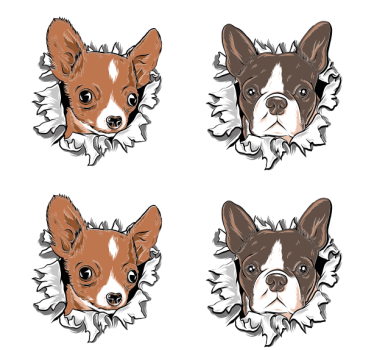 Poháralátétek szörnyszülött - chihuahua és bulldog arcok - TenStickers