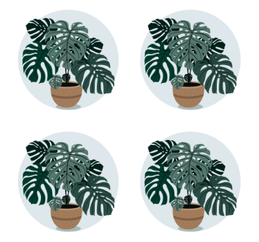 Kis cserepes növény több alátét - TenStickers