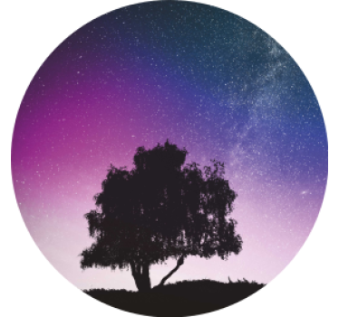 Csillagos Éjszaka fa modern poháralátétek - TenStickers