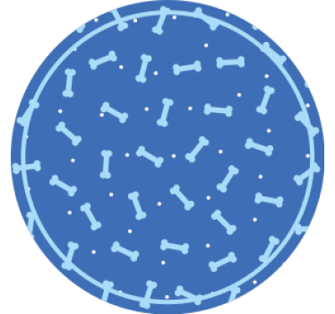 Csontmintás kör poháralátétek - TenStickers
