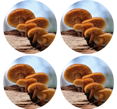 Modern poháralátétek gombakluster elrendezésben - TenStickers