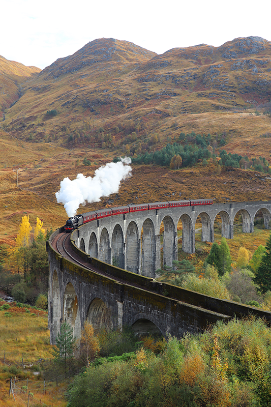 Mozgó vonat valósághű fotóplakát - TenStickers