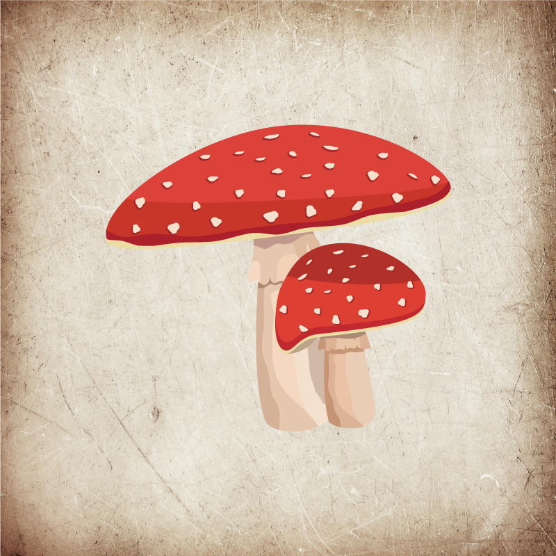 Amanita gomba illusztráció plakát konyhánként - TenStickers