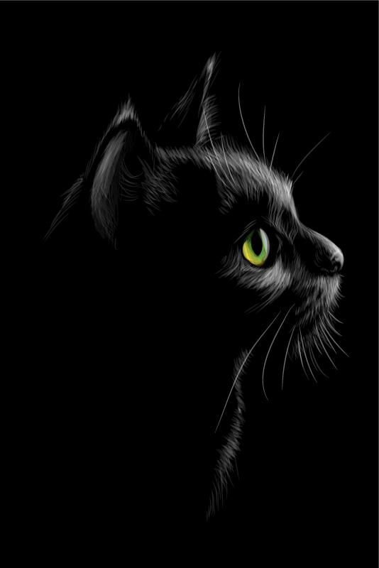 Zöld szemű macskák plakát szobánként - TenStickers