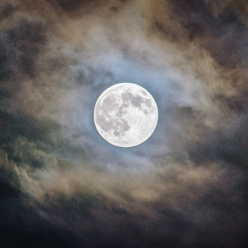 Telihold éjszaka plakát szobánként - TenStickers