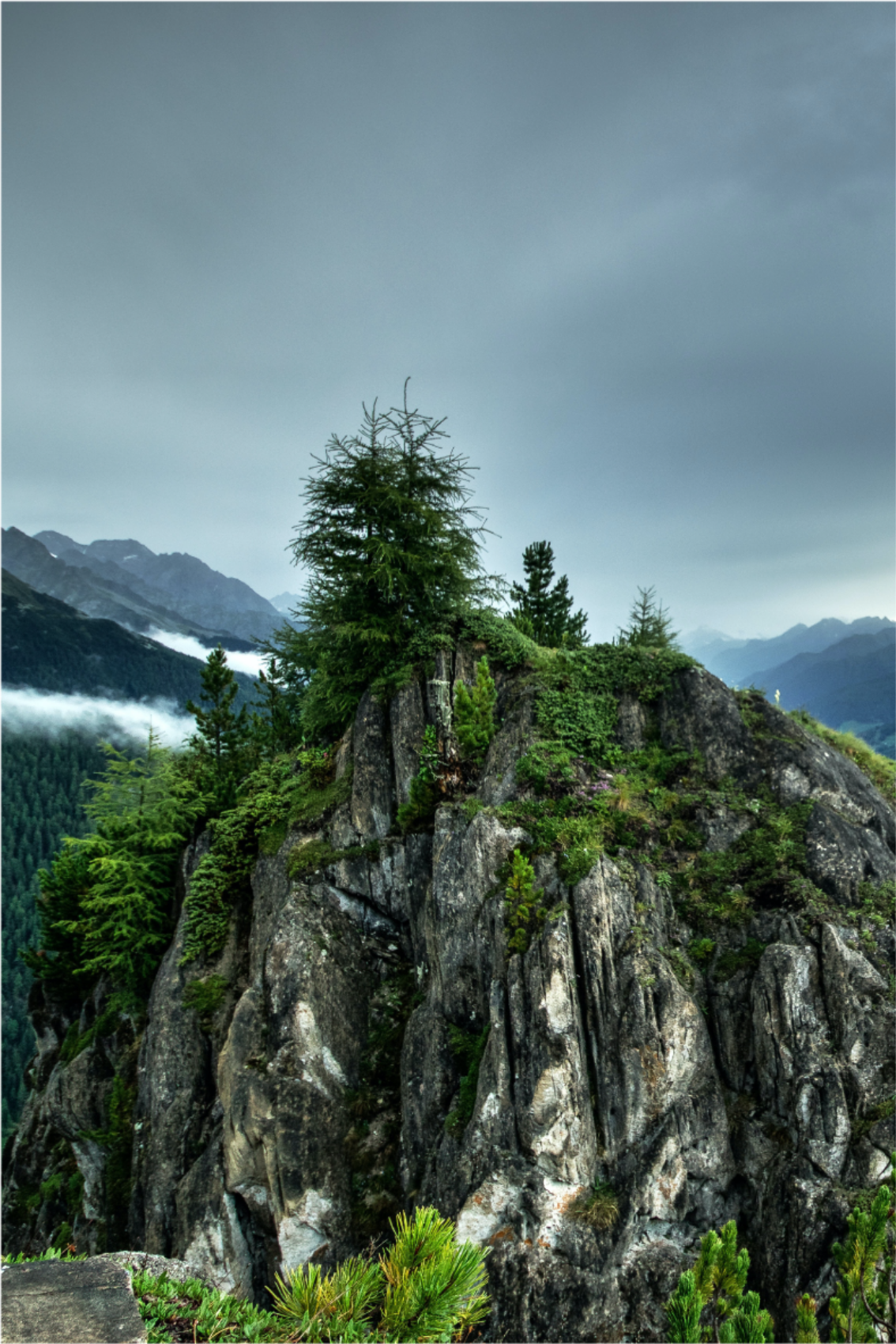 Zöld erdőben álló szikla plakát szobánként - TenStickers