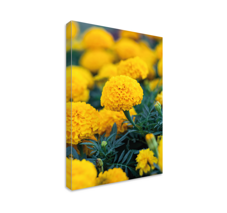 3d ráma flores naranjas 3d vászonképeket - TenStickers