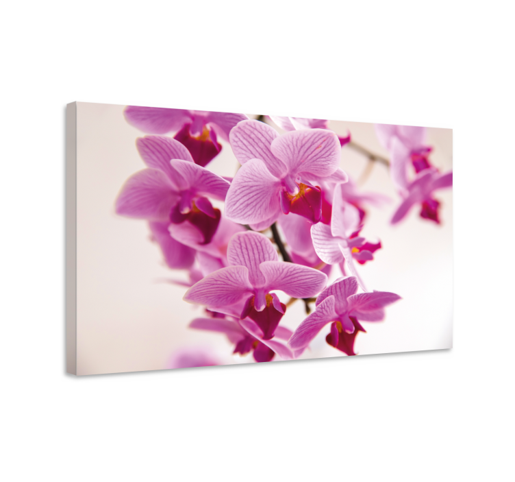 Ragyogó orchidea virág vászon - TenStickers