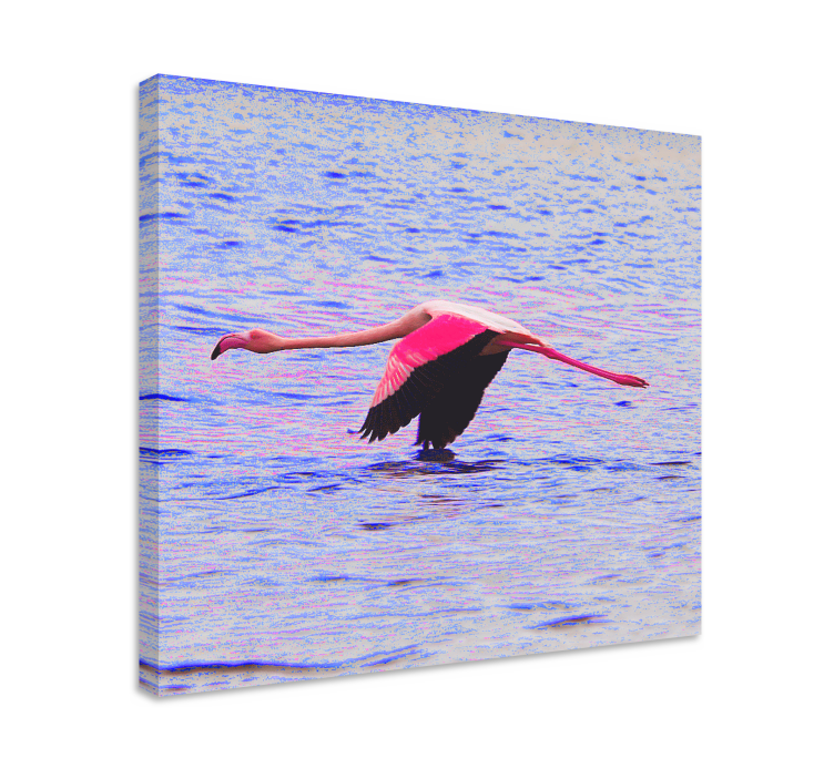 Repülő flamingó táblázatok hal - TenStickers