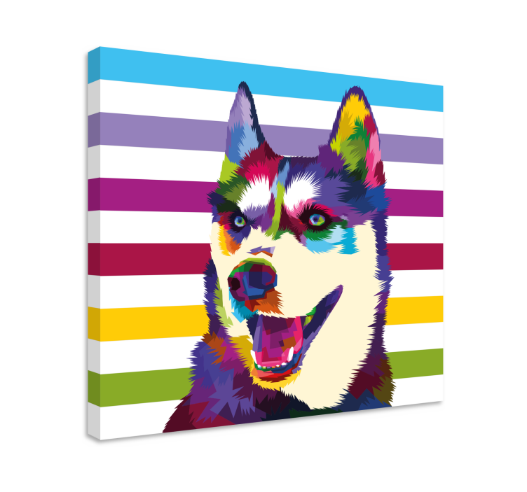 Színes husky portré táblázatok kutyák - TenStickers