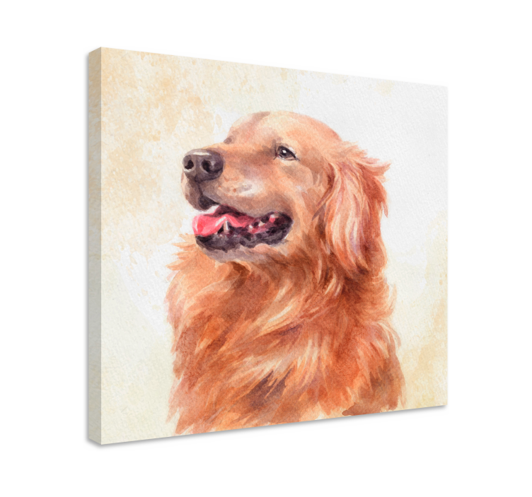 Golden retriever illusztrációk táblázatok kutyákhoz - TenStickers