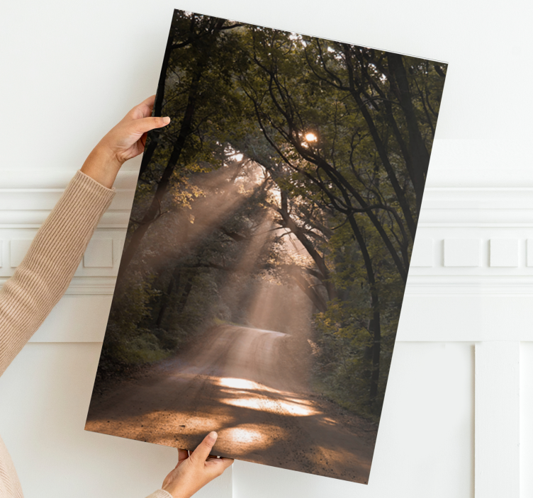 Napfényes erdőösvény táblázatok tájak - TenStickers