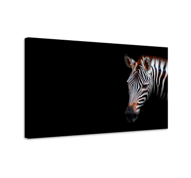 Pop art zebra vászonképek - TenStickers