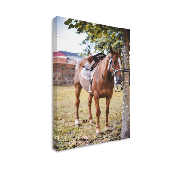 Ló egy fa vászonkép alatt - TenStickers