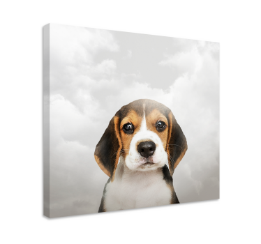 Szomorú kutya vászon képek - TenStickers