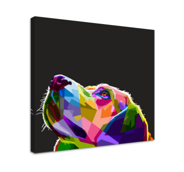 Szivárványos kutya vászon képek - TenStickers