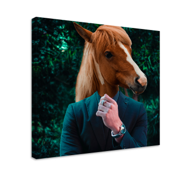Mister ló állat vászon - TenStickers