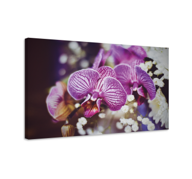 Lila orchidea virágos vászon - TenStickers