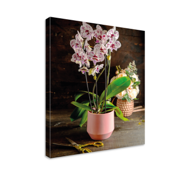 Orchidea virág cserép virágos vászon - TenStickers