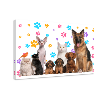Kutyák és macskák állati vászon - TenStickers