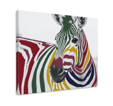 Színes zebra festmény művészet modern művészet nyomatok vászonra - TenStickers