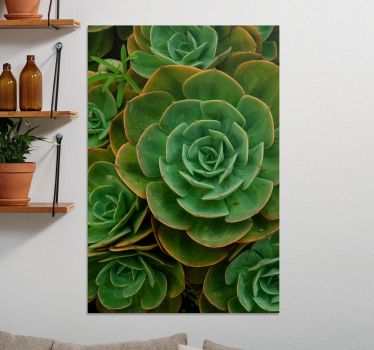 Kaktusz design növény vászonkép - TenStickers