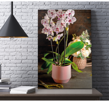 Orchidea virág cserép virágos vászon - TenStickers