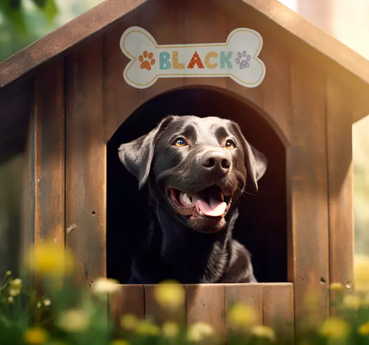 Névvel ellátott matrica macskaivóhoz - TenStickers