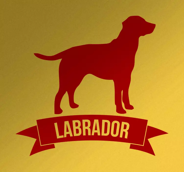 Labrador kutyafajta falmatrica - TenStickers