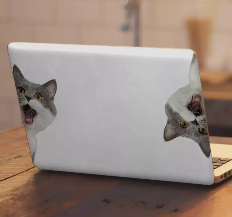 Macska kémkedés fehér háttér laptop bőr - TenStickers