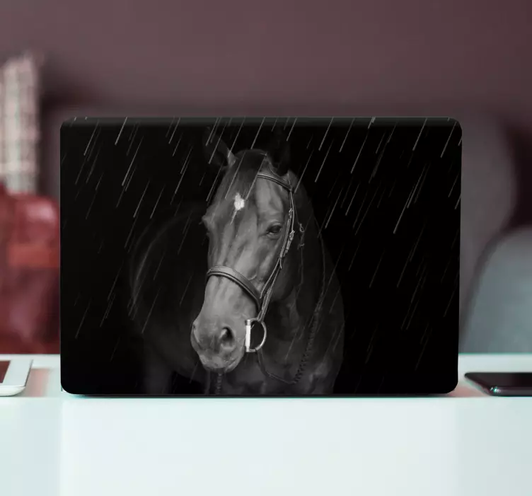 Méltóságteljes ló az esőben laptop bőr - TenStickers