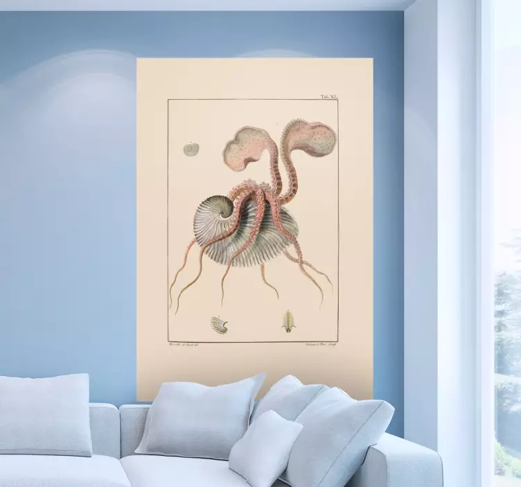 Nautilus régi lepedő matrica - TenStickers