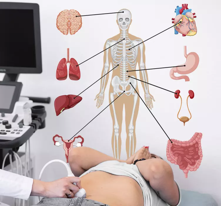 Orvosi infographics fali matrica - TenStickers