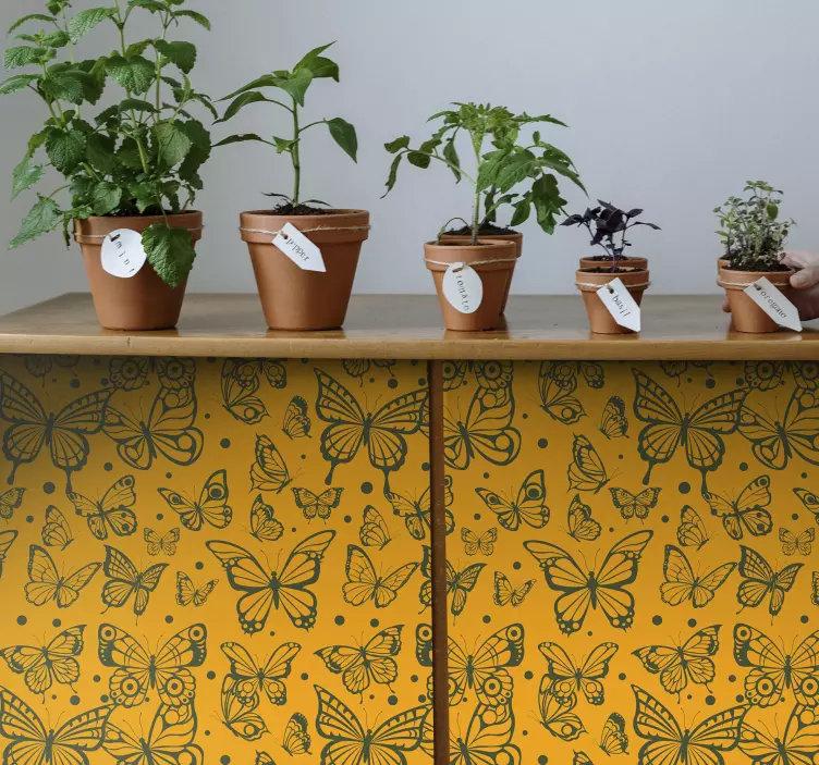 Pillangó növény háttér természet matrica - TenStickers