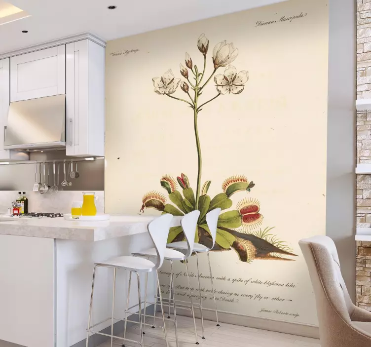 Régi botanikai virág matrica - TenStickers