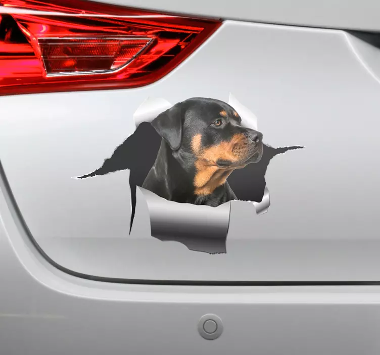 Rottweiller lyuk matrica kisállat matrica - TenStickers