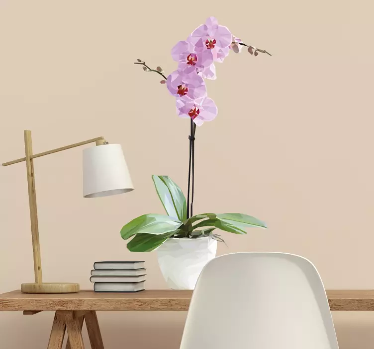Sokszögű cserepes orchidea matrica - TenStickers