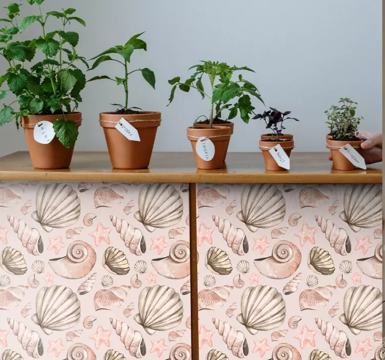 Tengeri kagylókból bútor matrica - TenStickers