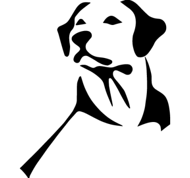 Labrador retriever kutya autó matrica - TenStickers