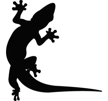Gekkó autó matrica - TenStickers