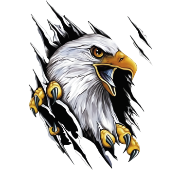 Amerikai hóbagoly karom autó matrica - TenStickers
