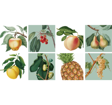 Növekvő gyümölcs fal csempe matrica - TenStickers