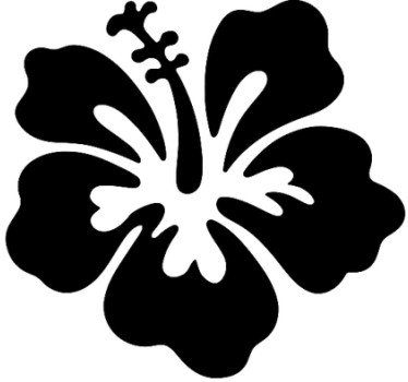 Exotikus szigeti virág autó matrica - TenStickers