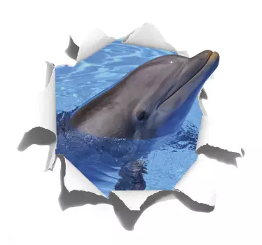 Delfin vizuális effektusok matrica - TenStickers