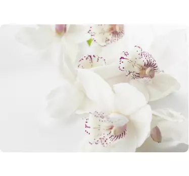 Fehér orchidea laptop bőr - TenStickers