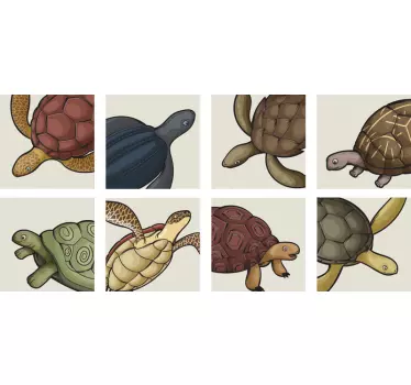 Különféle teknősök cserépátadása - TenStickers
