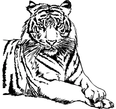 Tigris fal matrica - TenStickers