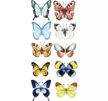 Gyűjtemény pillangók fal matrica - TenStickers